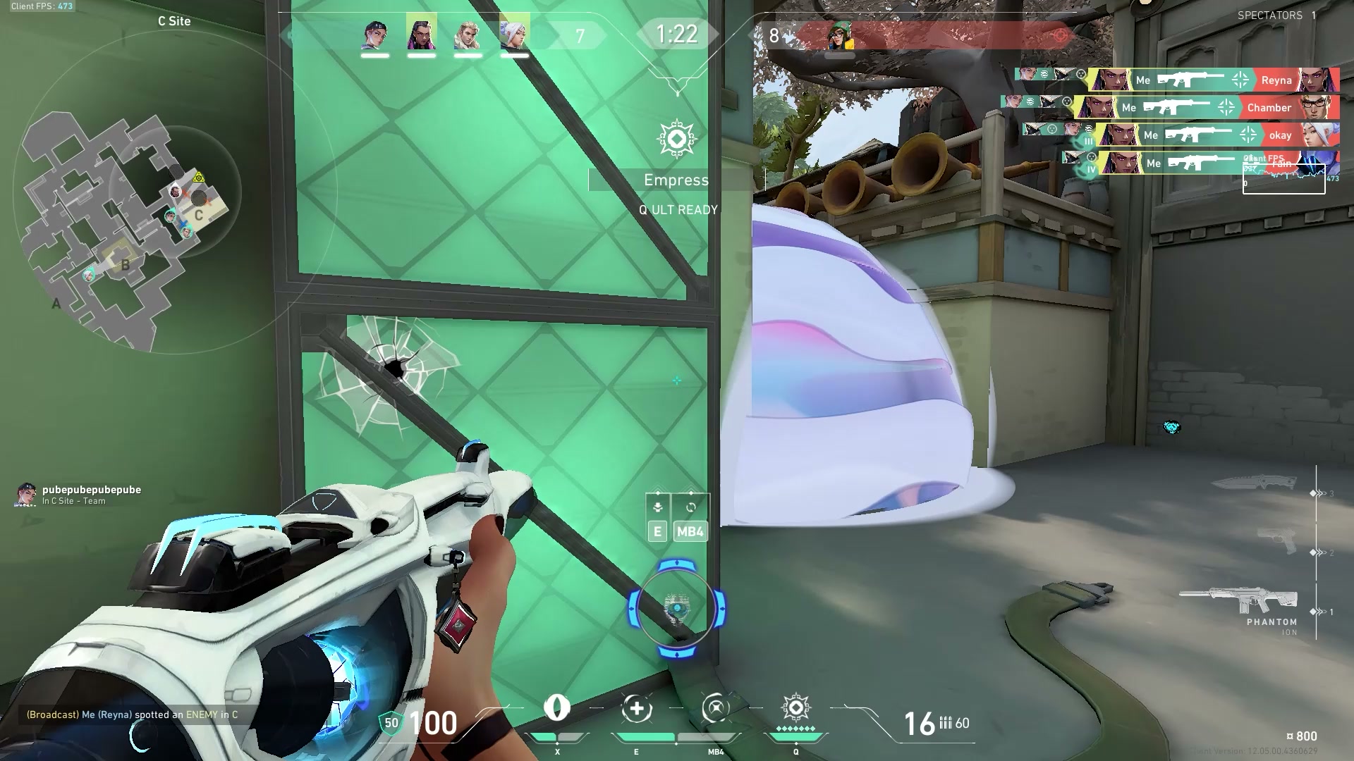 ace on haven